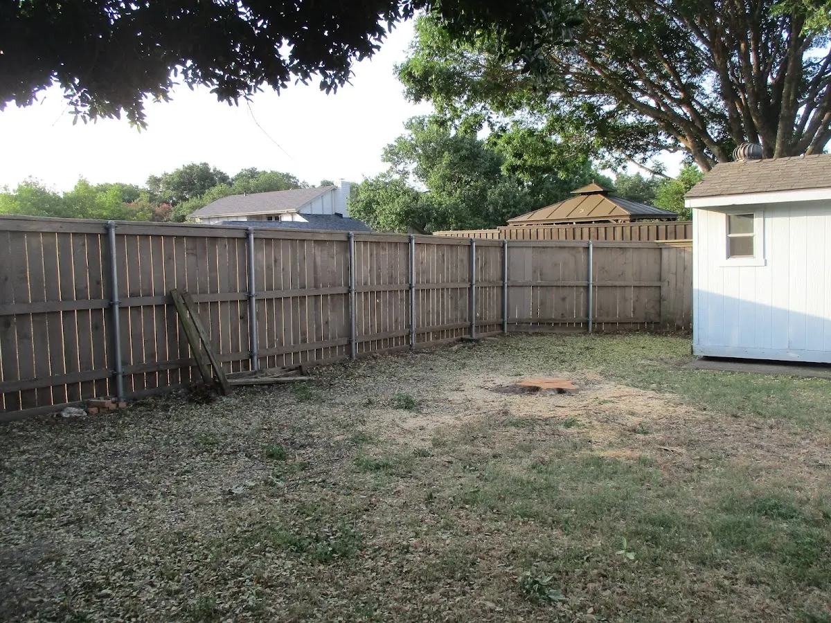 Cleared yard after professional tree removal in Ivanhoe